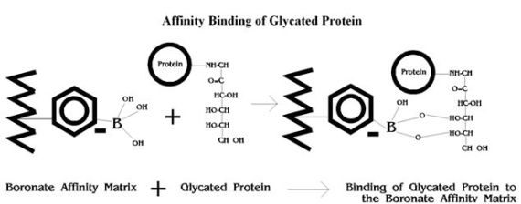 Biotime poct solution