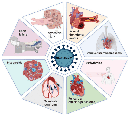 Biotime SARS-CoV-2 rapid test