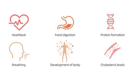 Biotime poct ivd biomarker