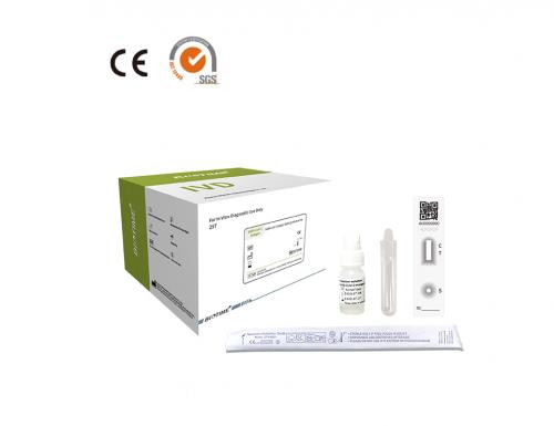 SARS-CoV-2 Antigen Rapid Test