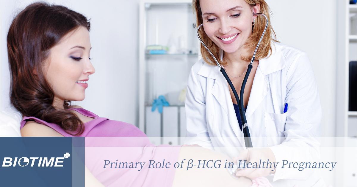 Primary Role of β-hCG in Healthy Pregnancy