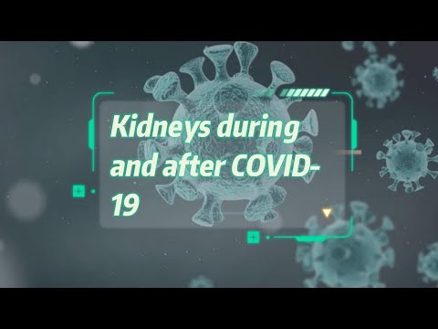 Kidneys during and after COVID-19