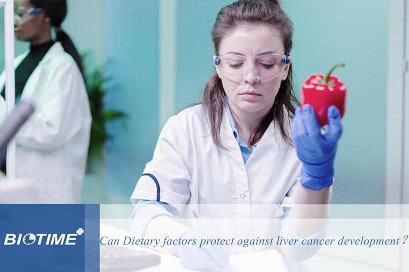 Can Dietary factors protect against liver cancer development？